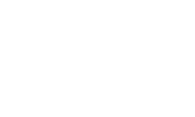The Professional Protector Logo hell